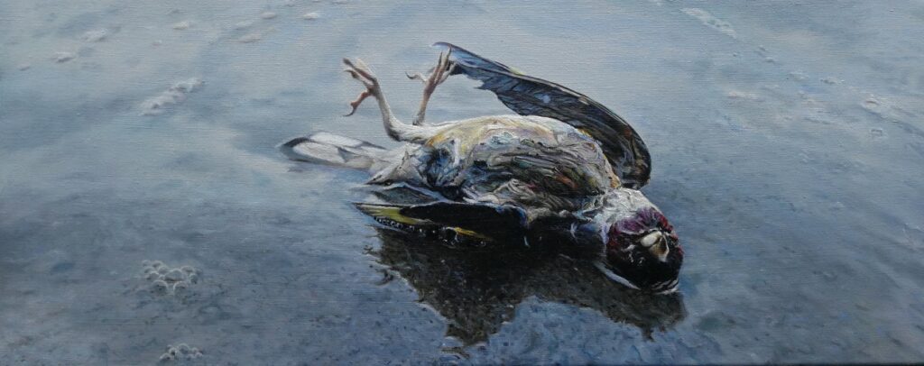 Secrets of the Earth 1